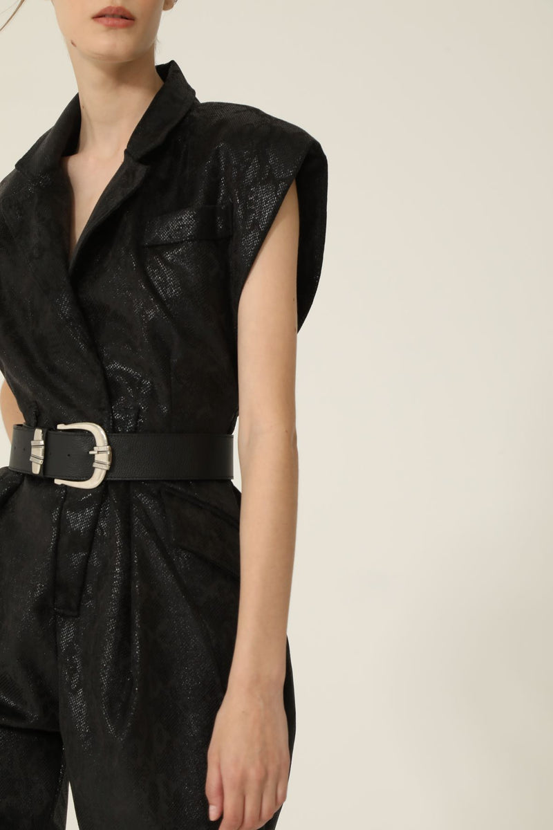 Mono Hesper Negro